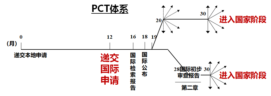 PCT途徑.png
